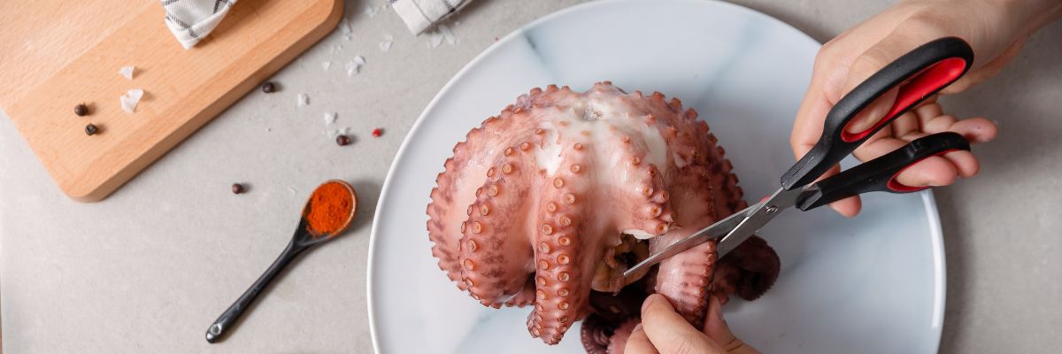 Los 10 mejores platos de la cocina gallega