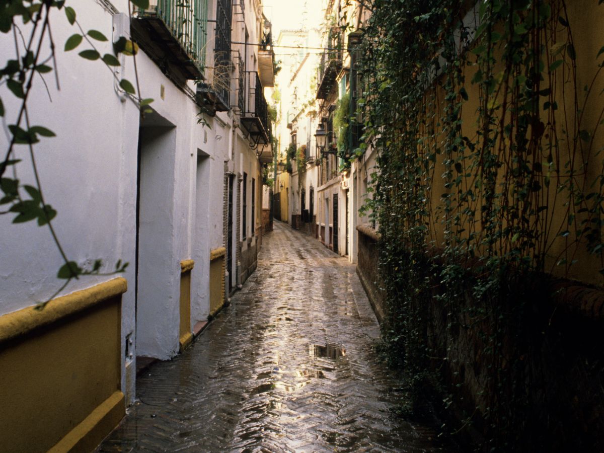 Calle en Santa Cruz Sevilla
