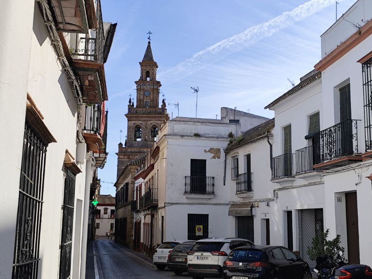 Free tour por Carmona - 10