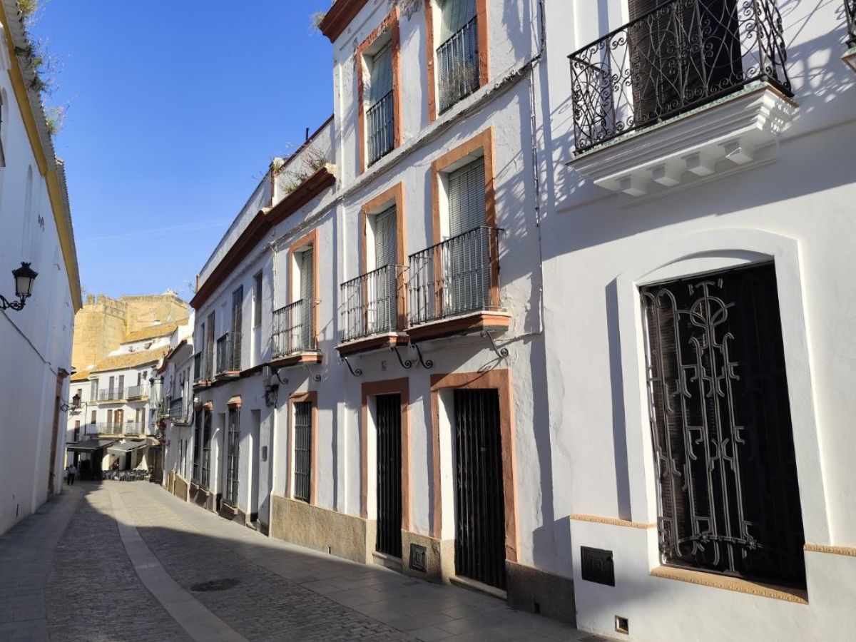 Free tour por Carmona - 4