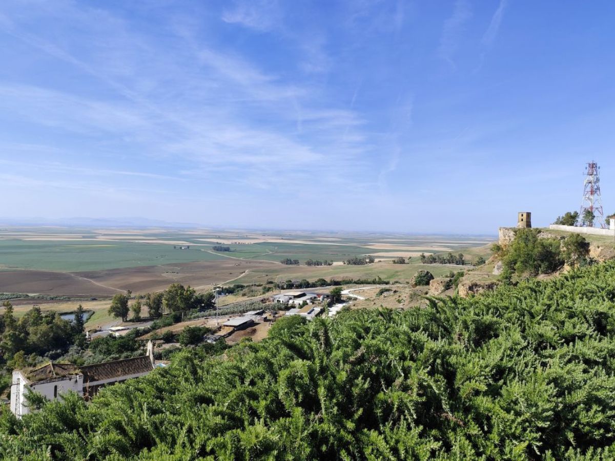 Free tour por Carmona - 9